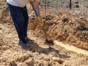 Man leveling a dug trench.