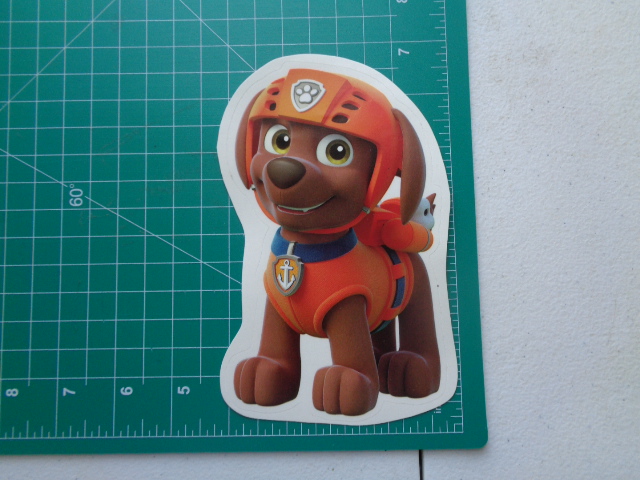 Zuma - Boys Paw Patrol
